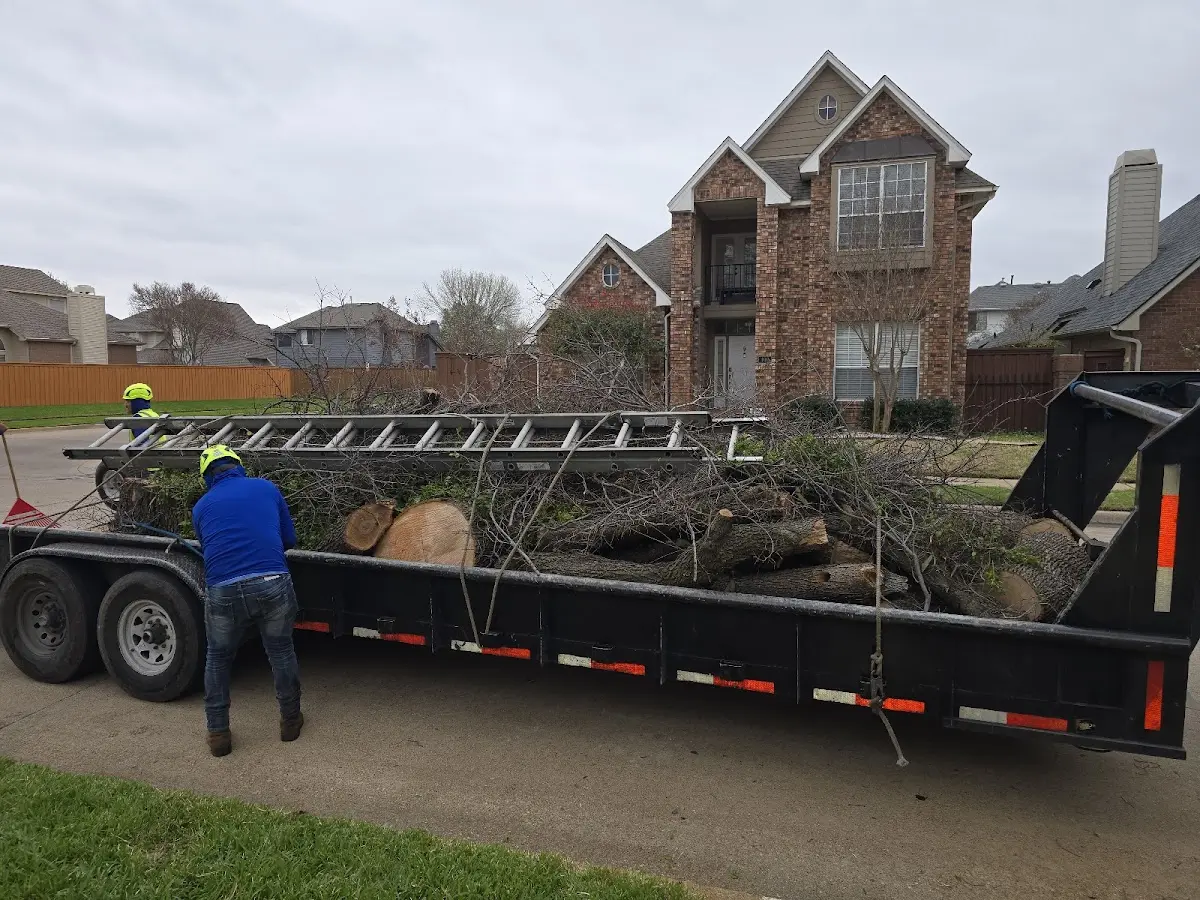 Expert Tree Removal with proper safety equipment in Fulton